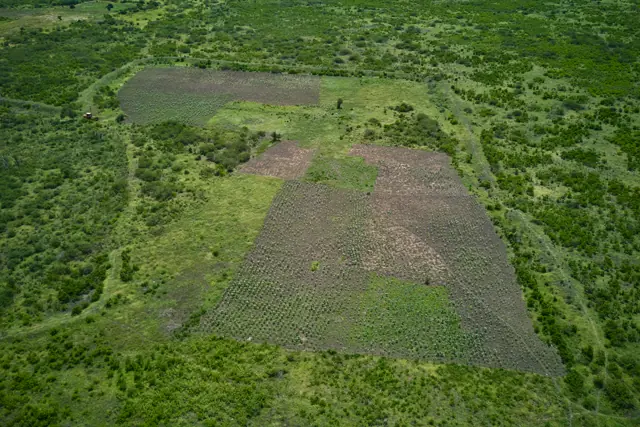 Aerial view of the Furaha Gardens land at Gongoni