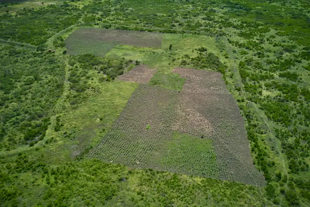 Aerial view over the plots and surrounding farmland at Furaha Gardens