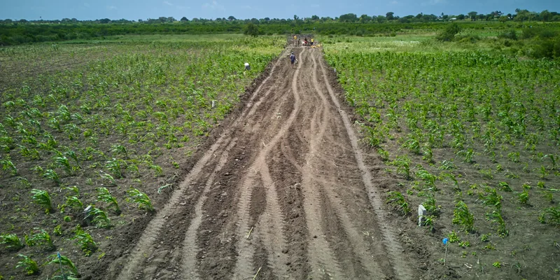 Land subdivision with access roads — payment plan plots in Kenya